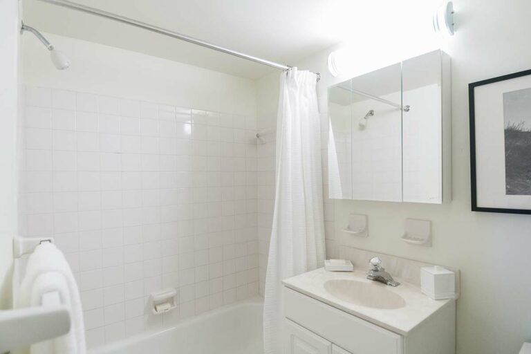 The Metropolitan East Goshen - Apartment interior bathroom