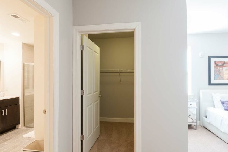 The Metropolitan East Goshen Estates - Apartment interior walk-in closet